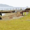 菅島海浜清掃の日に人工島のごみ拾いをするPTAの皆さま