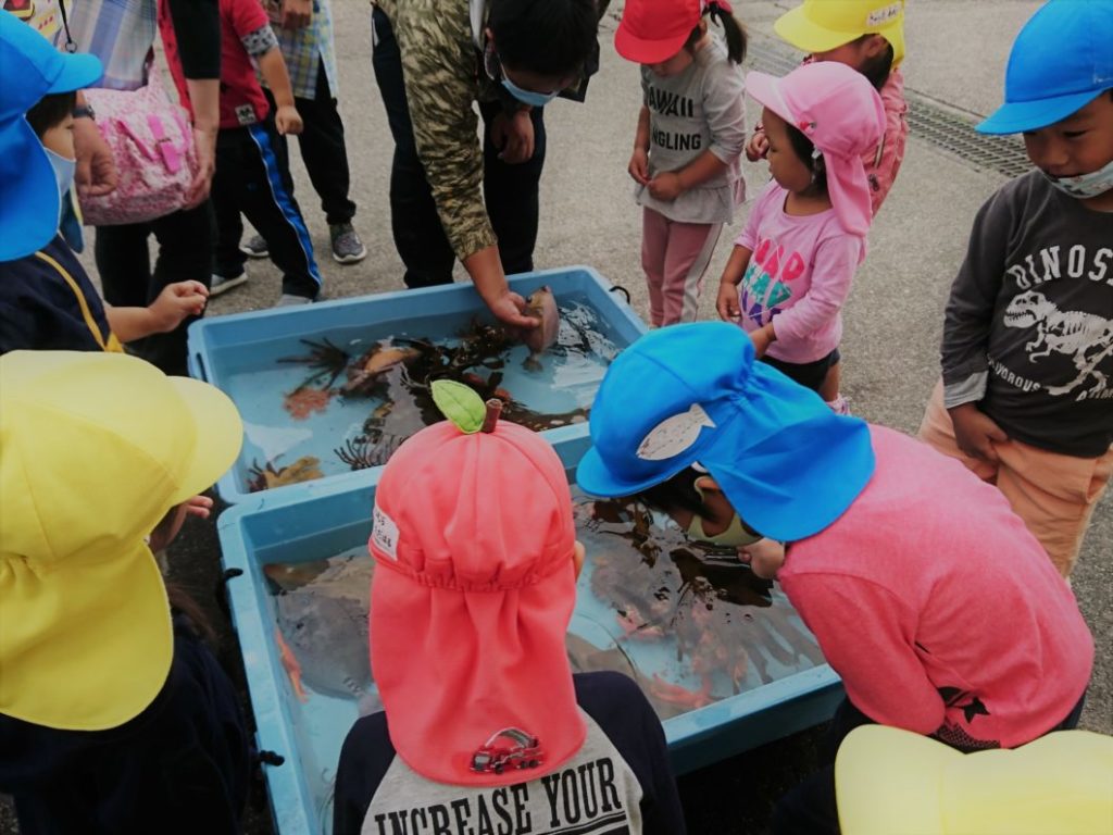 楽しそうに魚と触れ合う保育所園児