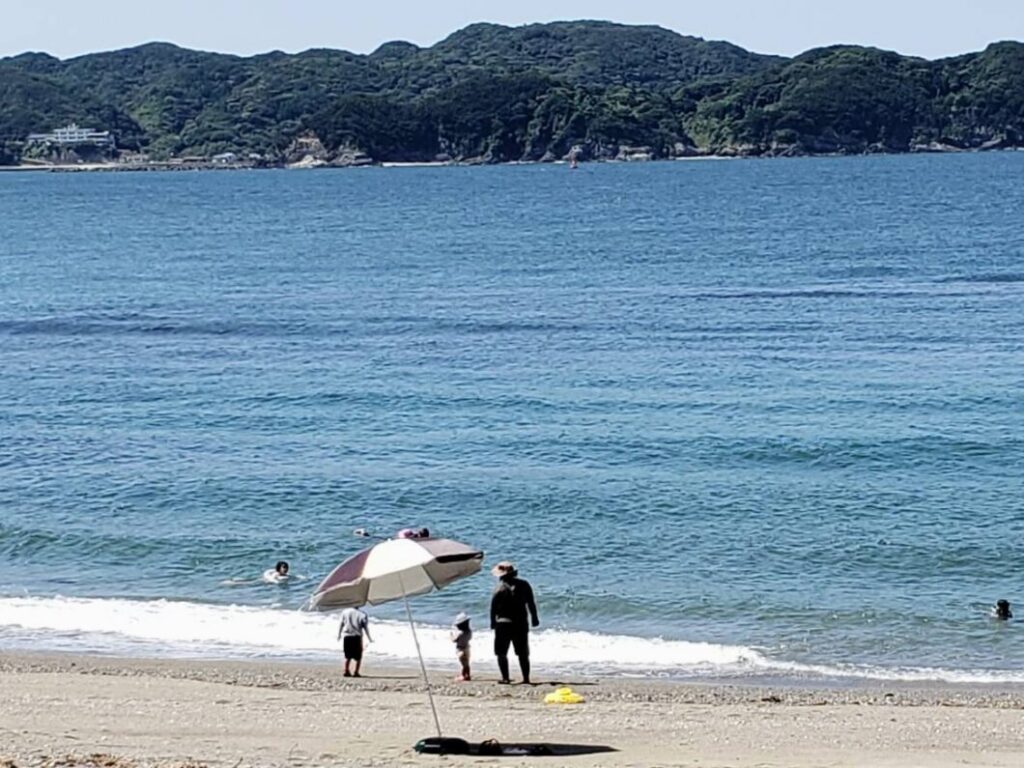 しろんご浜で泳ぐ菅島お試し移住ツアー参加者
