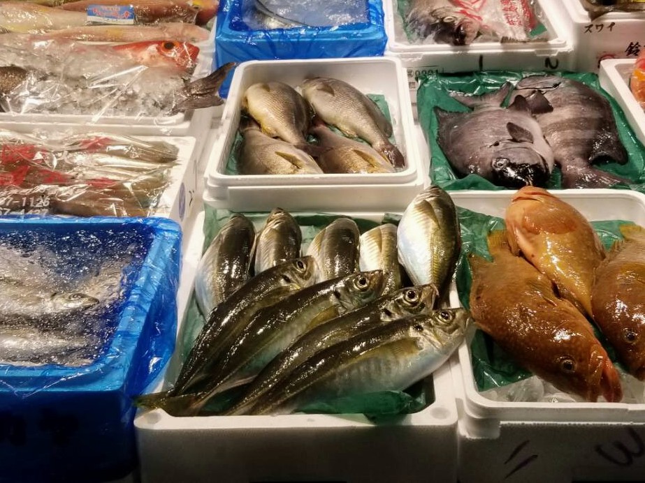 築地に並ぶ極みアジ