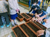 プランターに土を入れる子どもたち