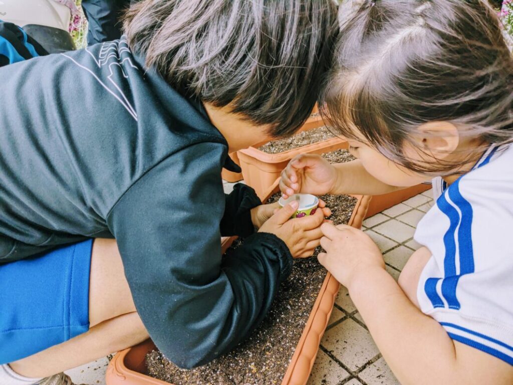 ひまわりの種を分け合う児童たち